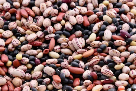 Legumi e zuppe pronte Le Gustose Tradizioni