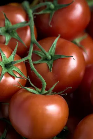 Conserve di pomodoro e sughi pronti Le Gustose Tradizioni