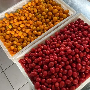 39398152-7E2F-4B68-8E8E-F6B0B89EEE83 2