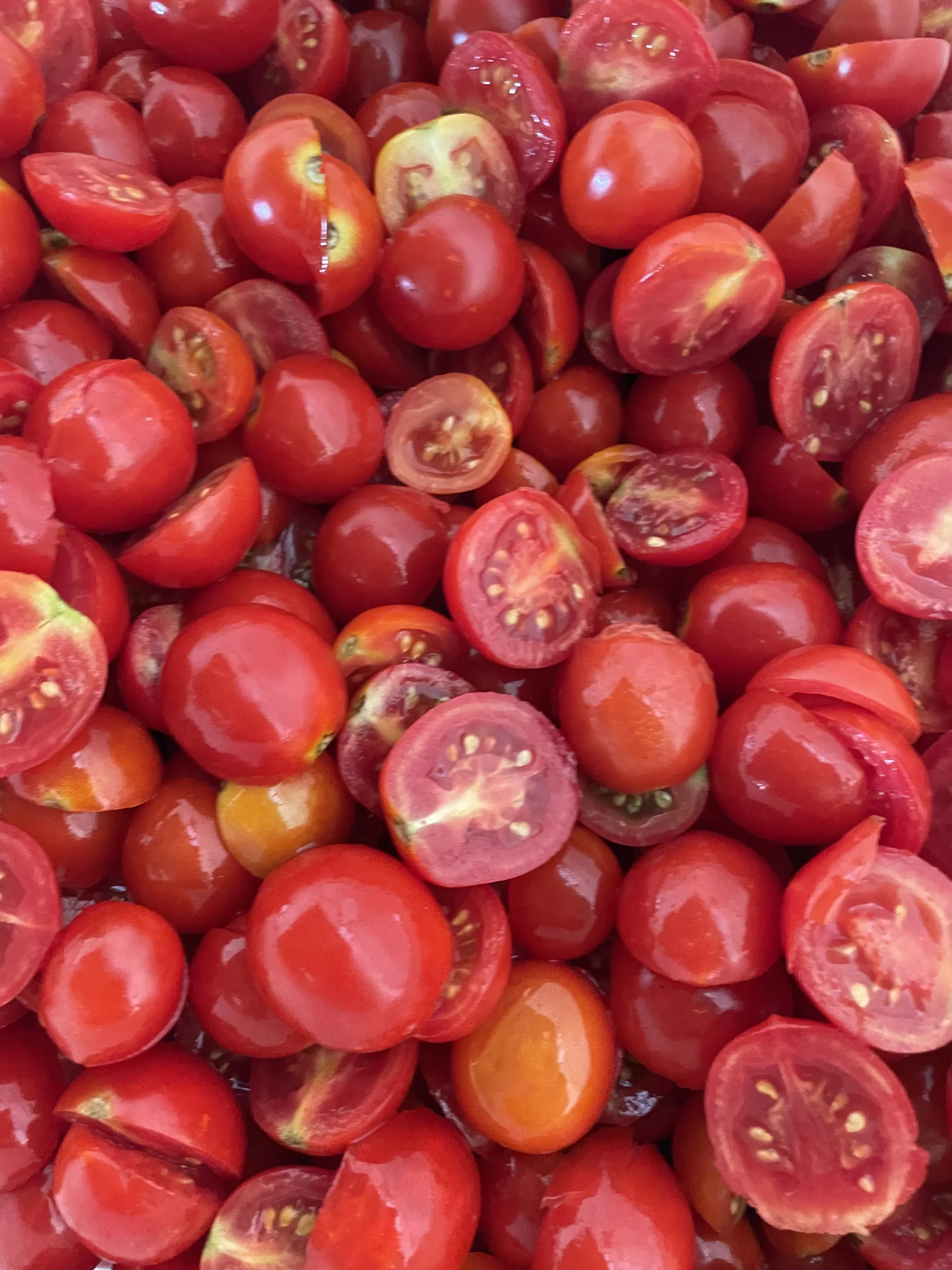 Conserve di pomodoro