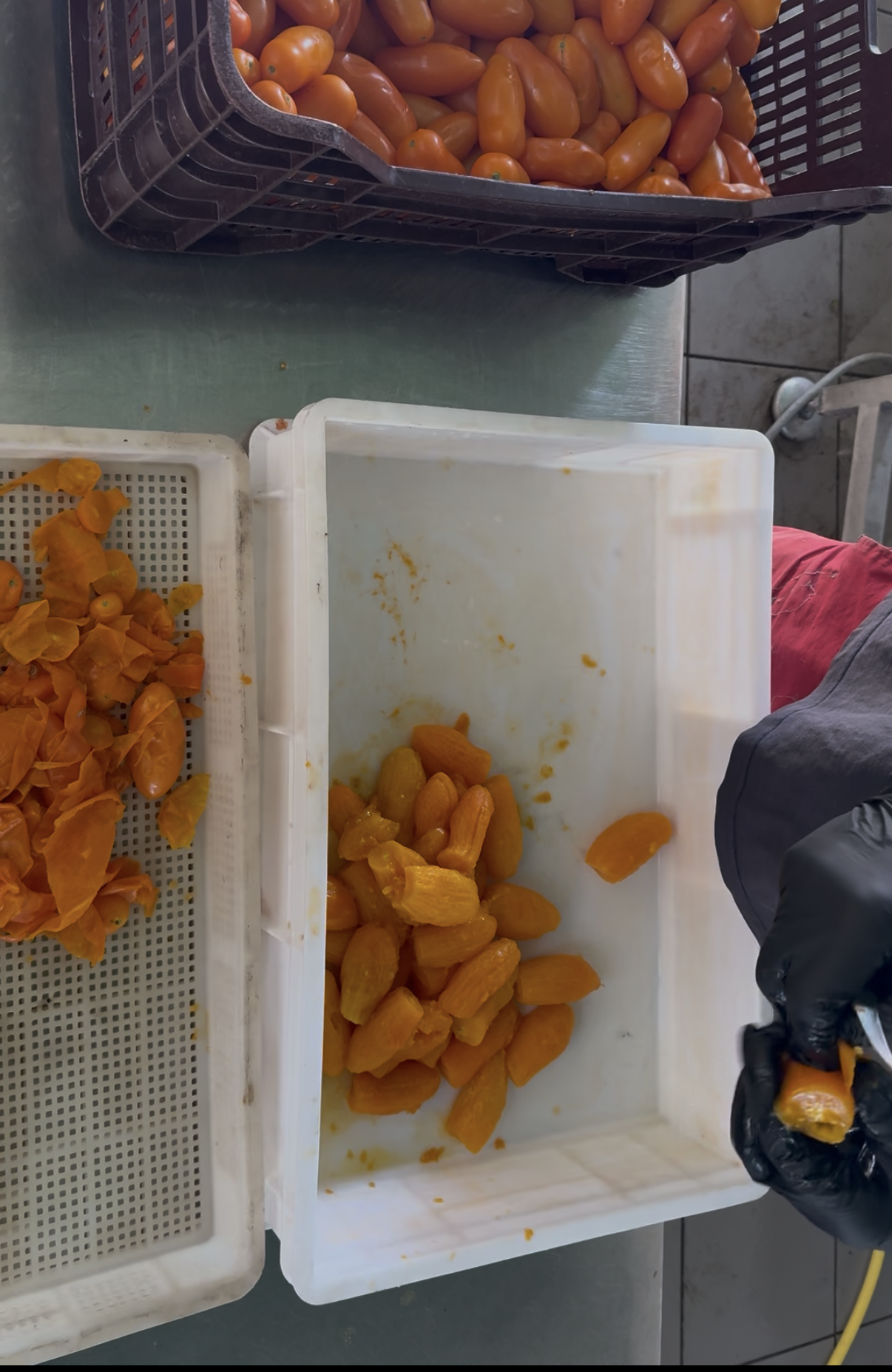 Produzione conto terzi nel laboratorio Le Gustose Tradizioni